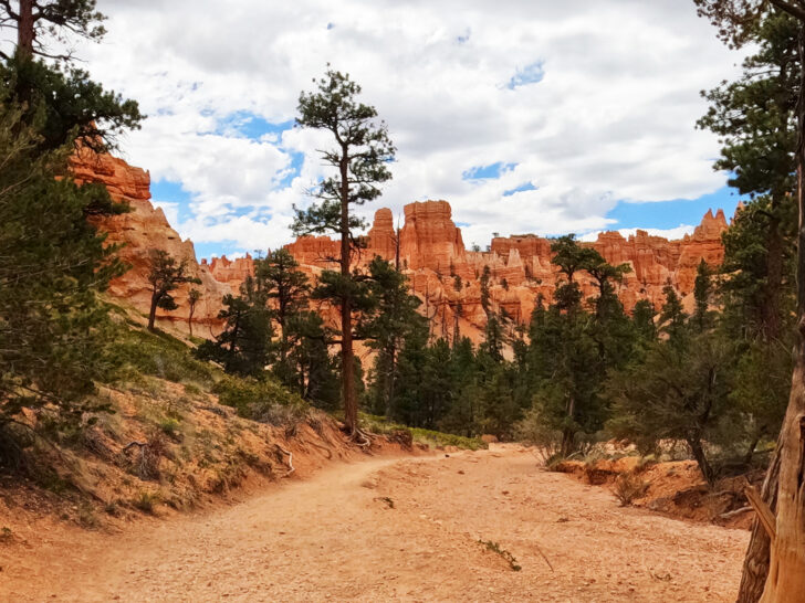 Queens Garden Navajo Loop hiking trail through southern utah forest and orange hoodoos in distance