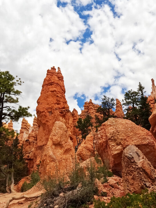 hoodoos in Bryce Canyon National Park with trees and clouds in sky