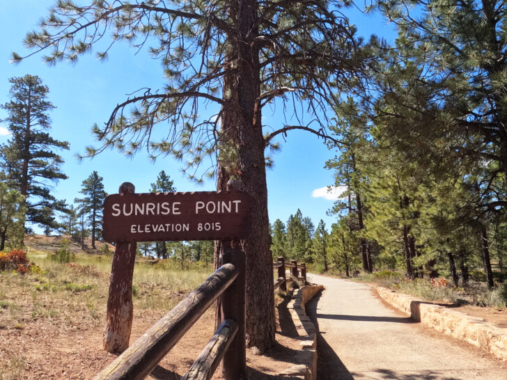 trailhead for queens garden trail sign says sunrise point elevation 8015 with hiking path and trees