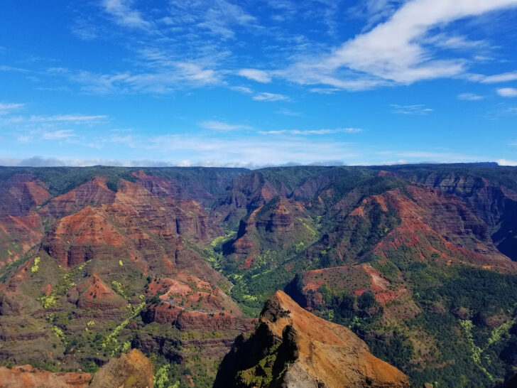 multicolored canyon with blue sky, green trees and red cliffs