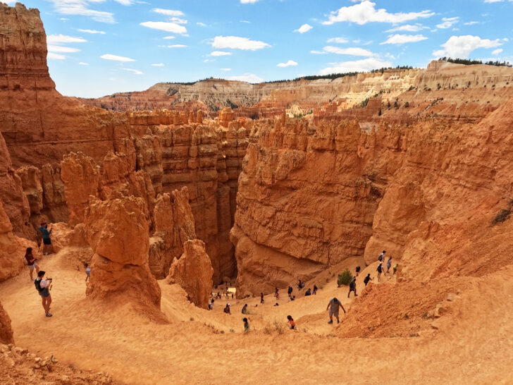 Wall Street Bryce Canyon view looking down from top of people hiking zig zag trail orange rocks and scenery