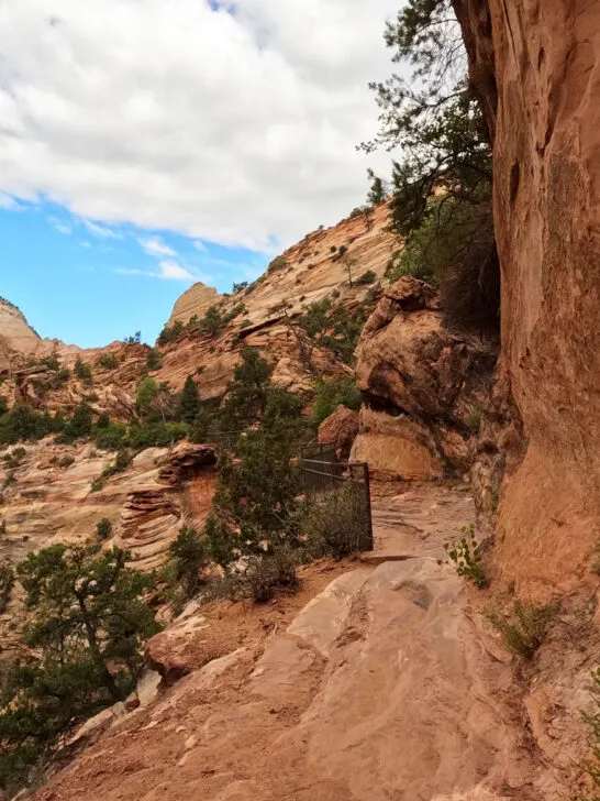 Canyon overlook trail Zion National park view of hiking trail near ledge with canyon wall in distance