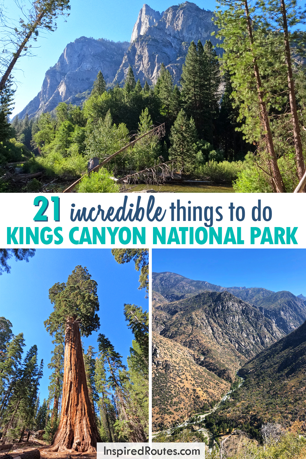 21 incredible things to do kings canyon national park view of riverbank sequoia tree and deep canyon