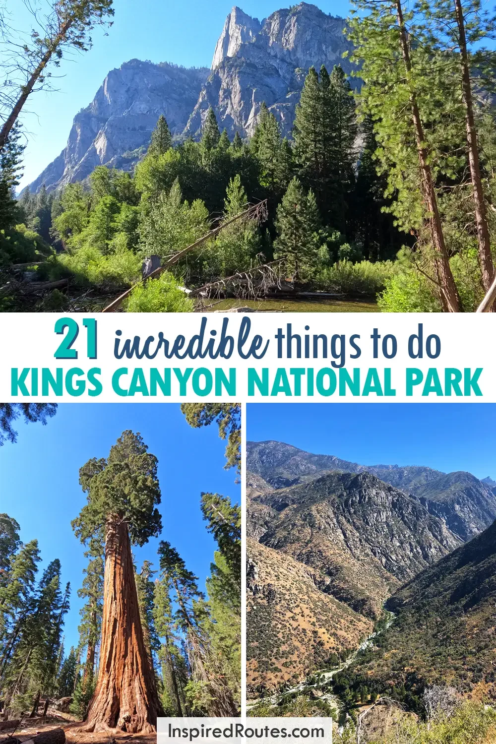 21 incredible things to do kings canyon national park view of riverbank sequoia tree and deep canyon