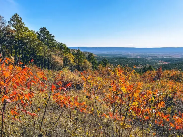 best road trips in America view of orange foliage and hillside with open landscape view on sunny day