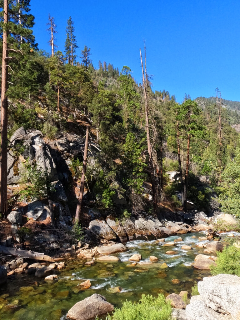 things to do in Kings Canyon National Park view of river with rocky shore and forest on sunny day