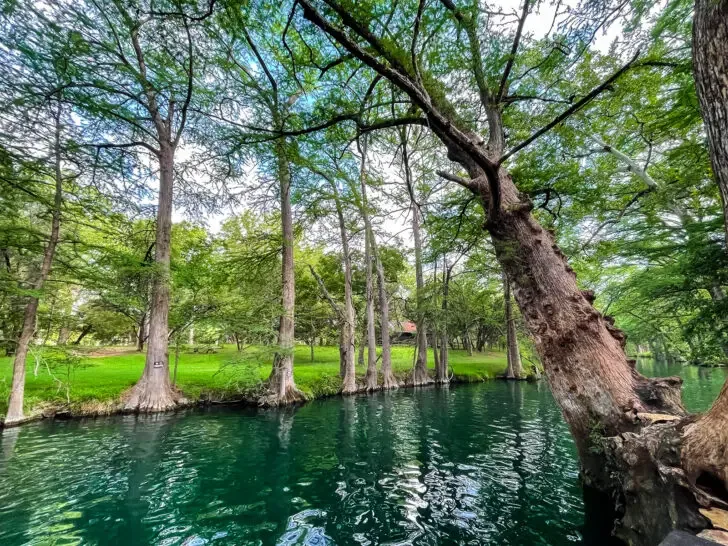 best road trips in USA view of blue river with trees and green meadow in Texas Hill Country