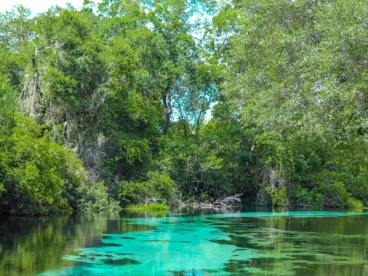 road trips USA view of teal and green colored river with trees alongside