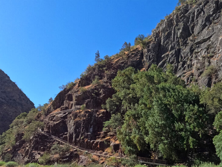 view of entrance to Boydens Cave Kings Canyon National Park on the side of a rocky cliff with trees
