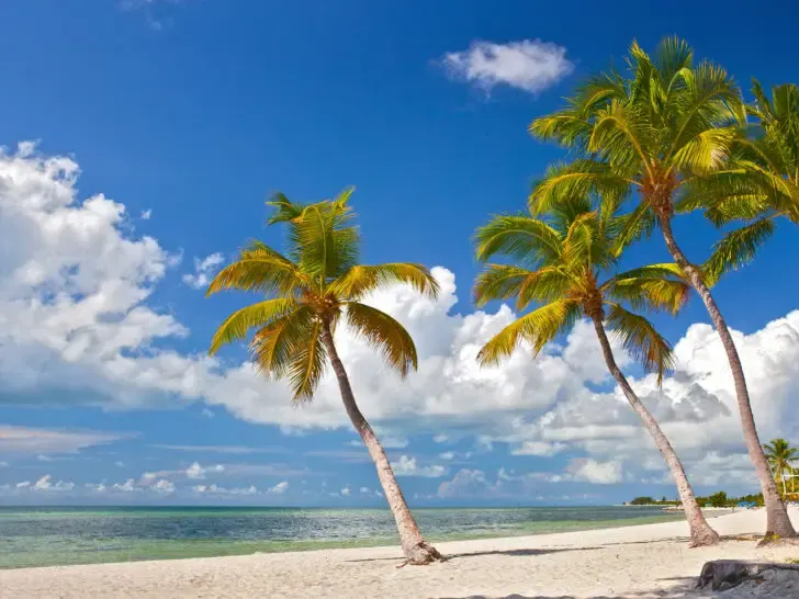 beach and palm trees blue sky white clouds along florida keys road trip