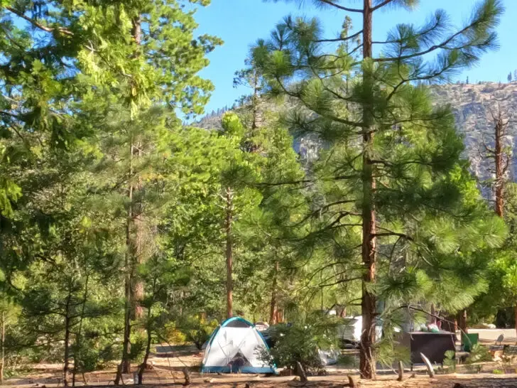 camping at kings canyon national park view of tents through trees