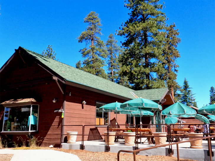 kings canyon visitor center with eating area with tables and gift shop and trees in background