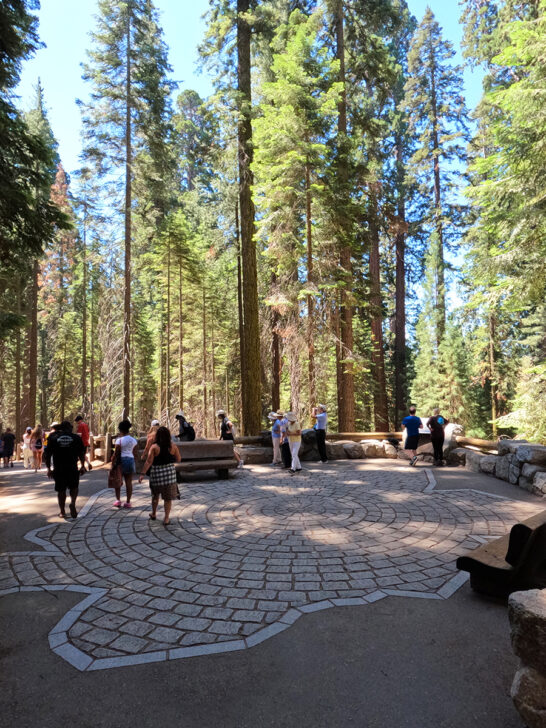 paved walking path with brick pattern with people standing and trees all around