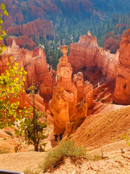 best national parks for kids view of orange rock spire in Bryce Canyon Utah