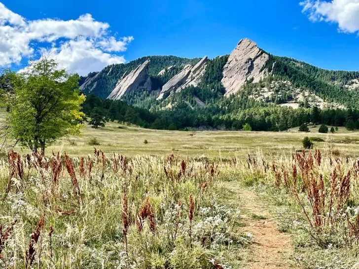 view of walking trail through park with mountains in distance