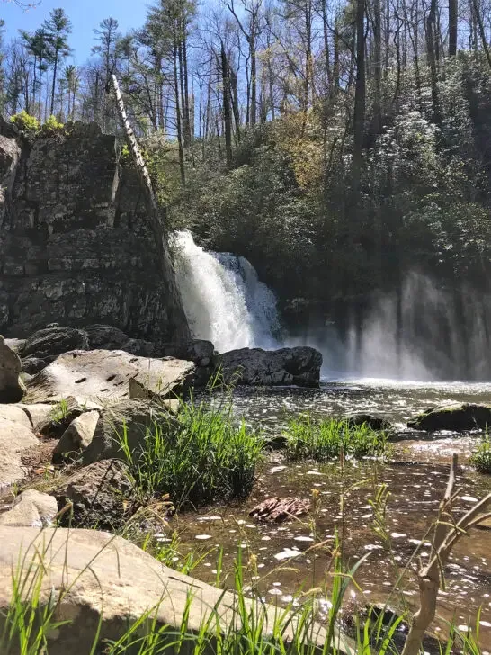 waterfall hike in smoky mountains view of waterfall pond with rocky shore and trees above