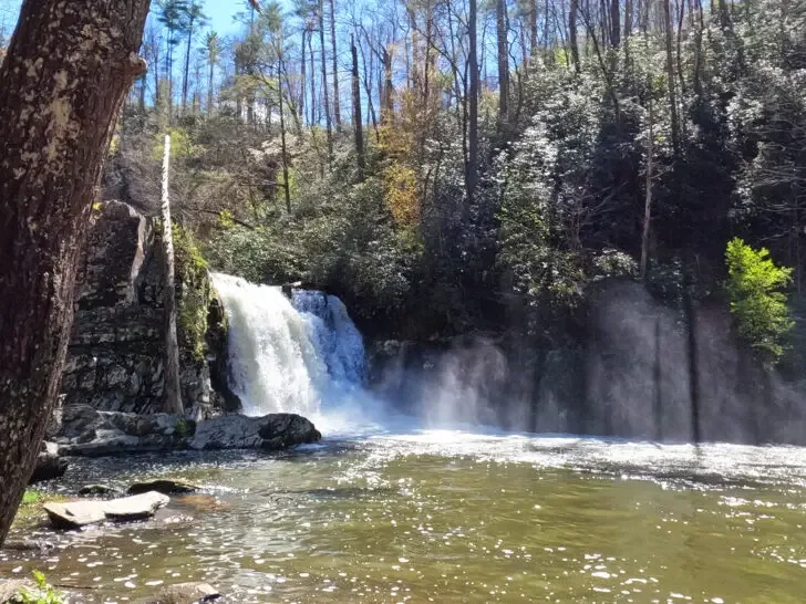 Cades Cove Waterfalls Abrams Falls Trail view of waterfall with pond below and tree to the side and trees in distance