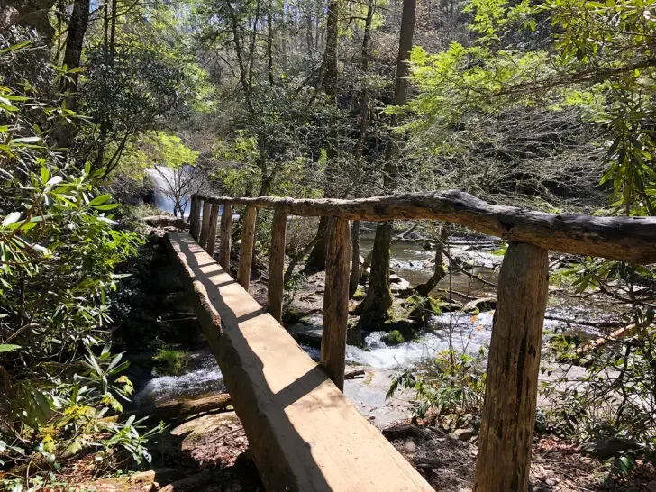 Abrams Falls Cades Cove view of waterfall in distance with wooden log bridge and trees