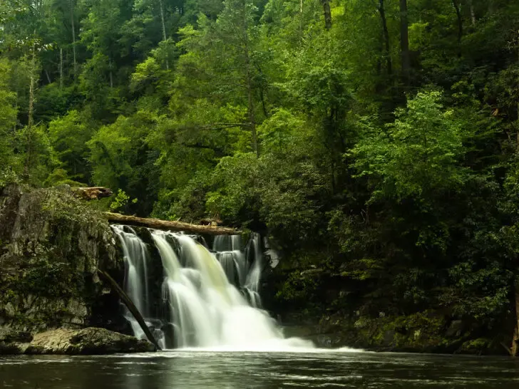 Abrams Falls Trail view of lush waterfall smoky mountains Tennessee with green trees surrounding