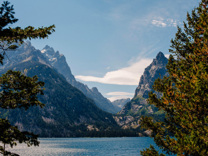 view of spiky mountain peaks and lake with trees at grand teton best national park for kids