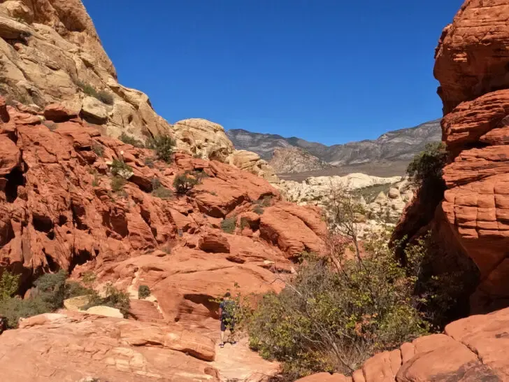 Calico Tanks Trail red and tan rocky trail with mountains in distance