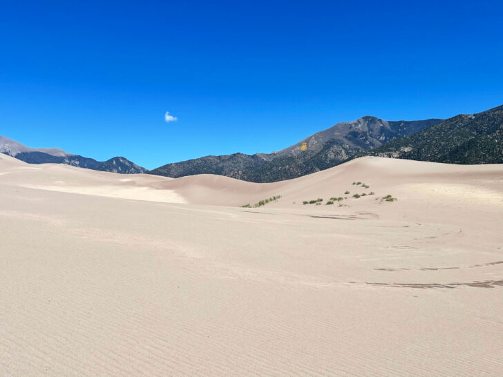best things to do in Colorado view of white sand dunes with mountains in distance
