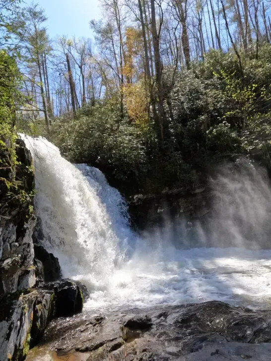 Abrams Falls Smoky Mountains view of waterfall cascading down to pond with trees and shrubs surrounding