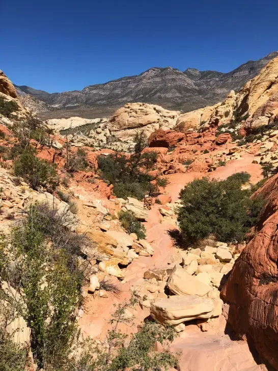 red rock canyon calico tanks view of desert terrain shrubs red and tan rocks with mountains in distance near Las Vegas