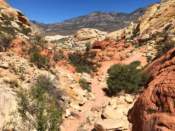 Calico Tanks Trail Red Rock Canyon Las Vegas view of hiking path through rocky terrain with red and tan rocks and mountains in distance