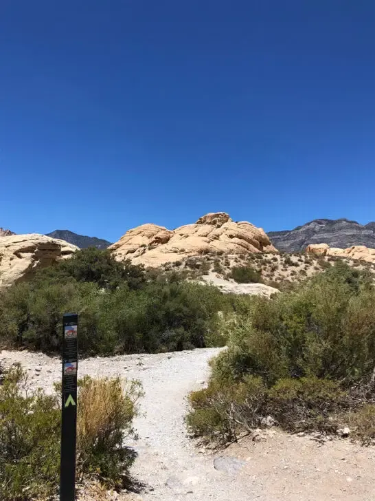 hikes red rock canyon national conservation area view of rocky trail through green shrubs with mountains in distance