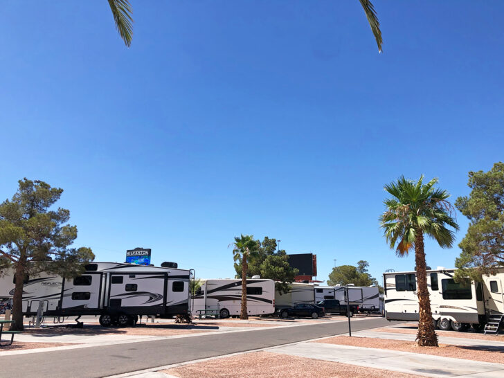 rvs and motorhomes in campground park with palm trees and sunny sky