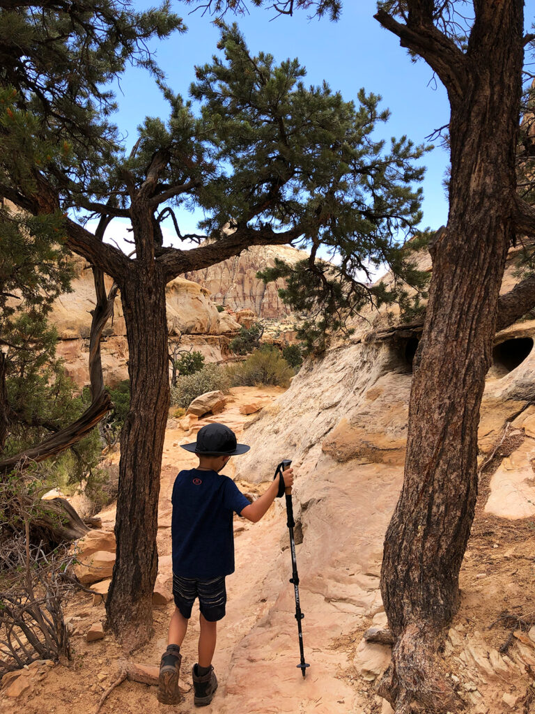 kid with hiking gear walking on rocky trail between trees
