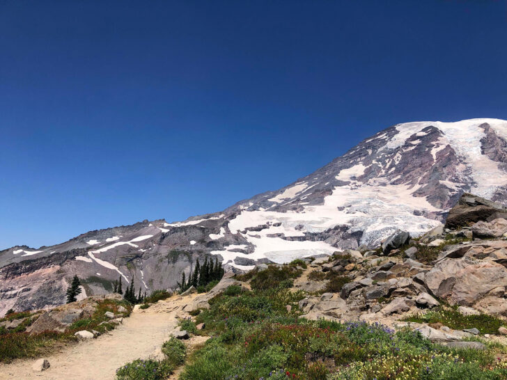 mount Rainier paradise hikes view of trail with rocks snow and mountain blue sky