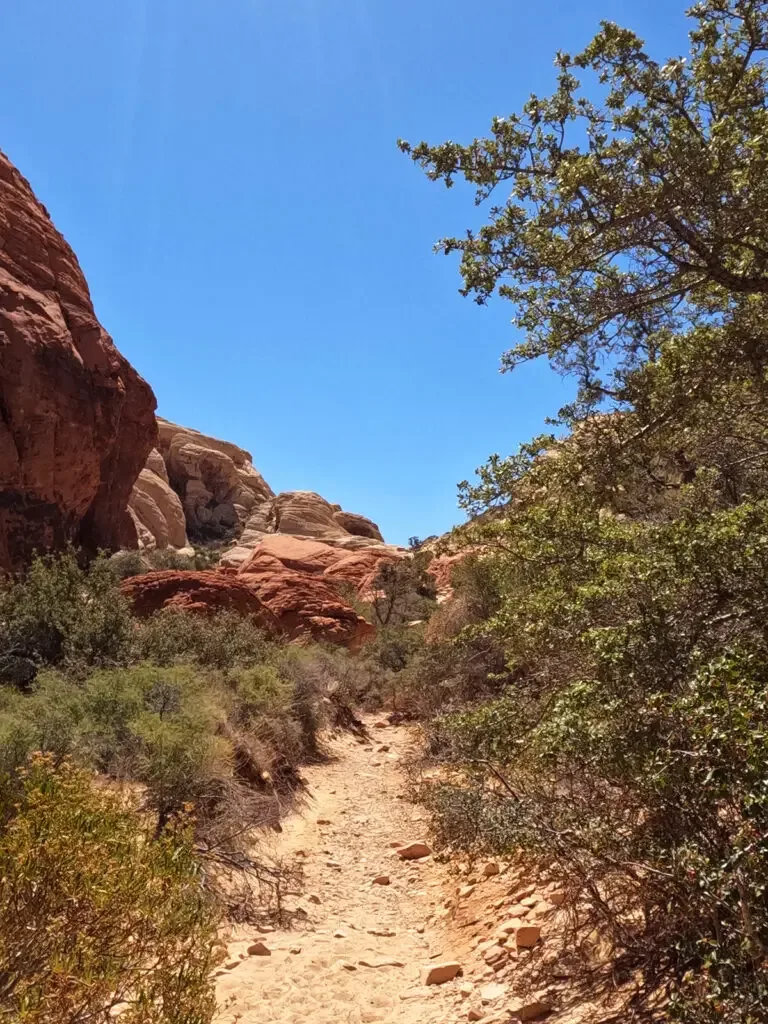 calico tanks trail view of dirt hiking path through brush and towards rocks