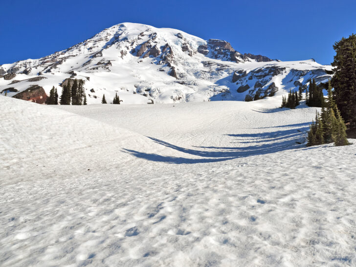 mount rainier in winter covered in snow