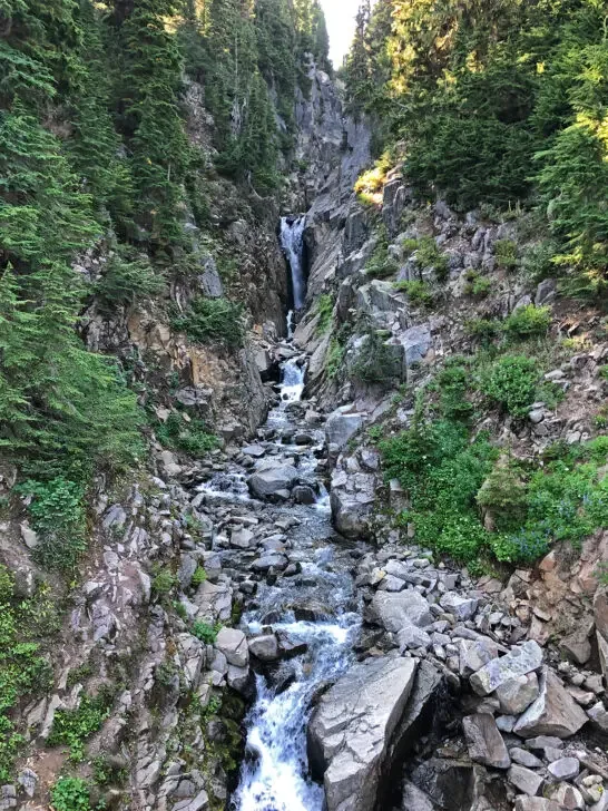 paradise mt rainier waterfall through rocks and trees surrounding