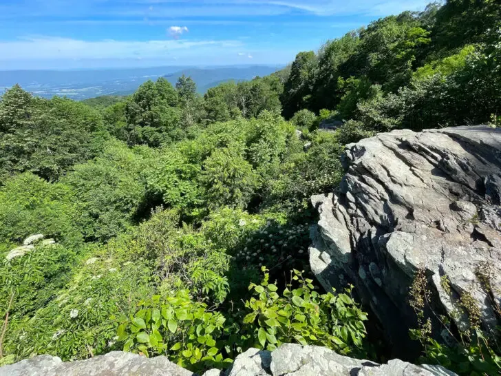 Shenandoah national park view of rocky cliff with rolling hills in distance