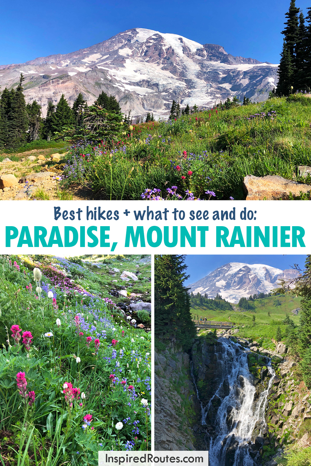 best hikes plus what to see and do paradise mount rainier view of mountains, waterfall and wildflowers