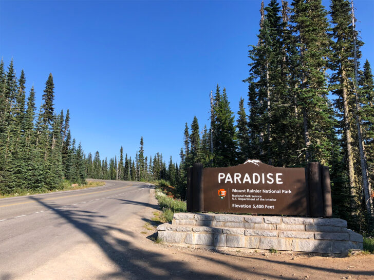 paradise mount rainier national park sign with road and trees surrounding it