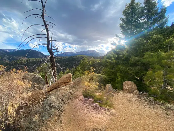 lookout point with trees and mountains near sunset