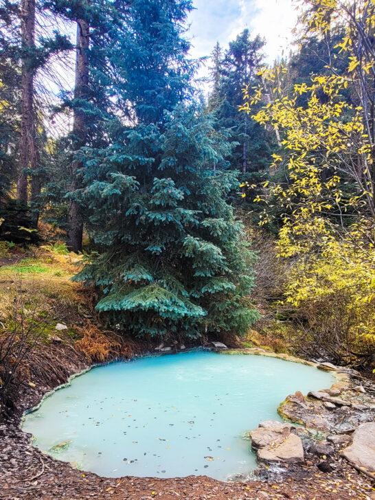 best things to do in Colorado blue pond in woods near telluride