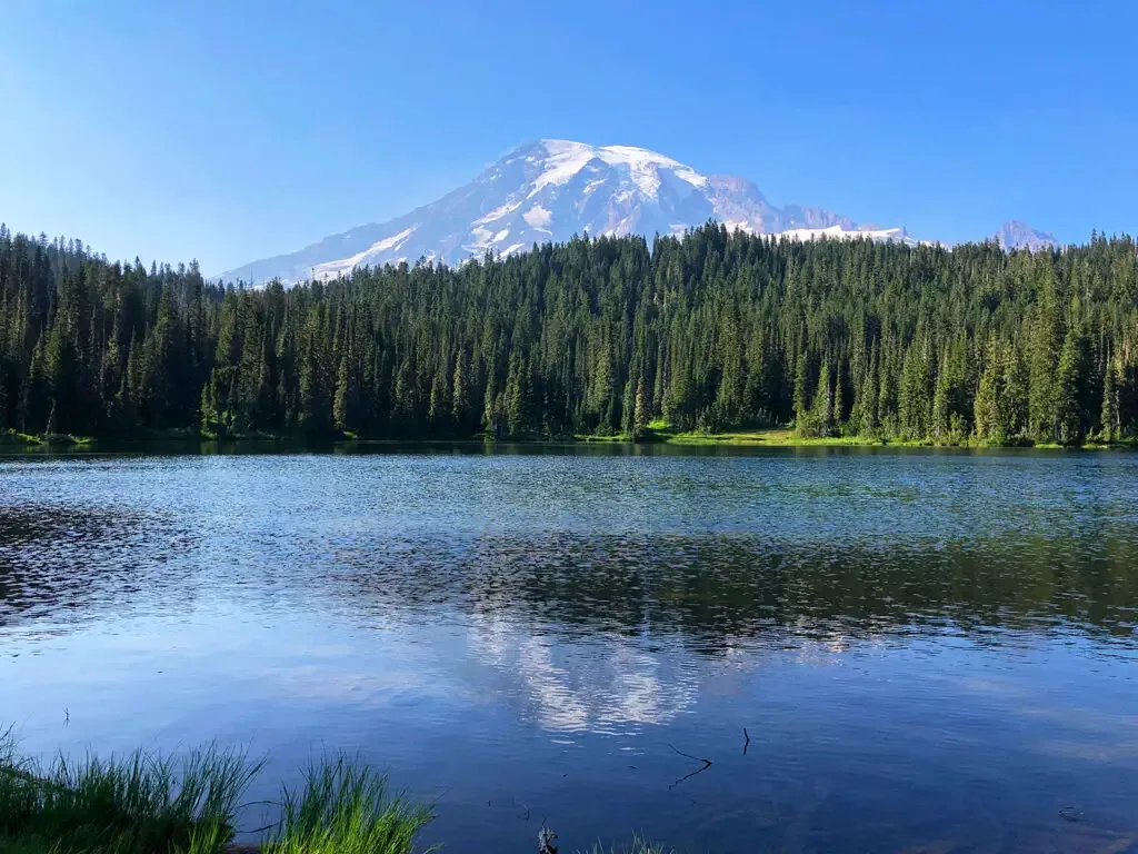 lake with trees and mountain and slight reflection at mount rainier paradise