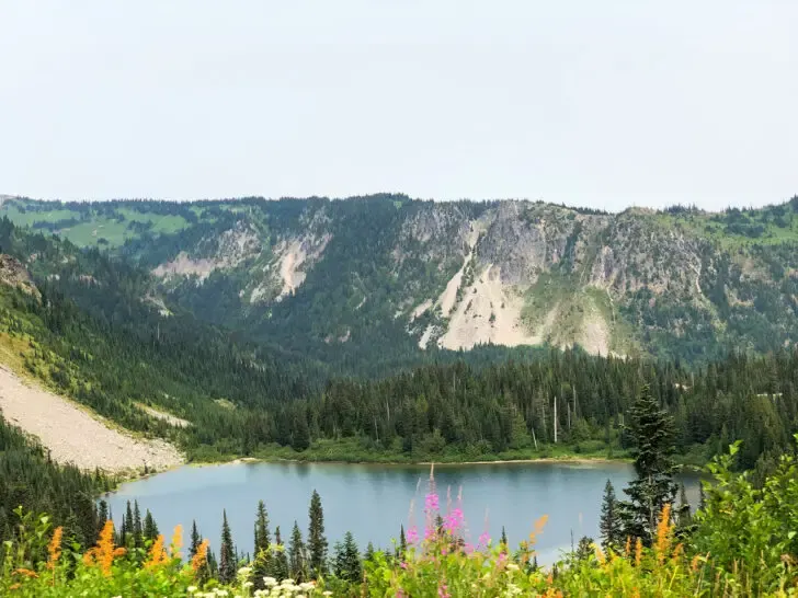 lake with flowers and hillside in distance