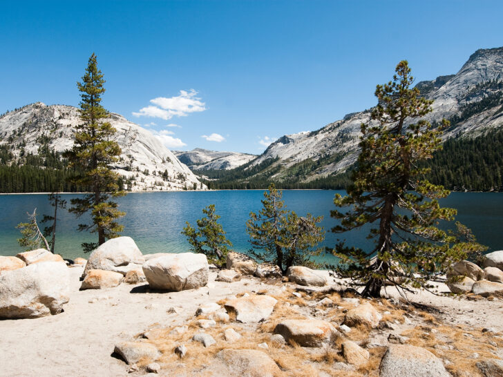 blue lake in mountain scene with trees along shore in Yosemite
