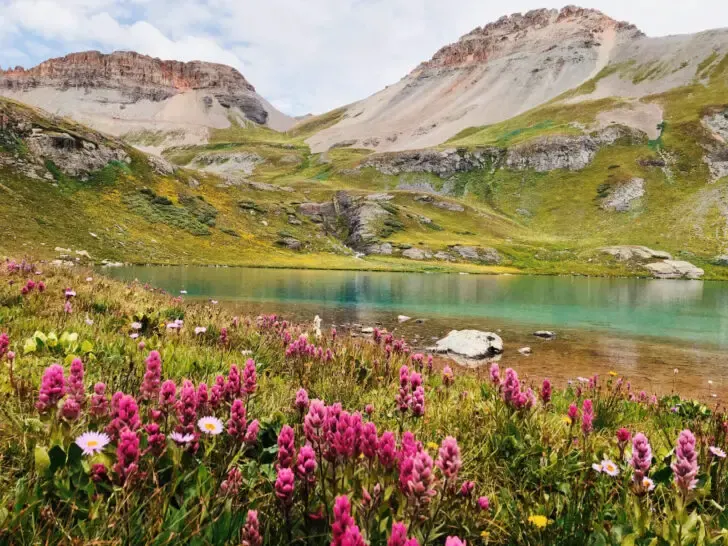 southern colorado hiking trails view of lake and mountains with pink flowers in foreground