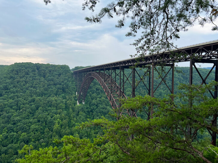 large metal bridge spanning valley with lush greenery