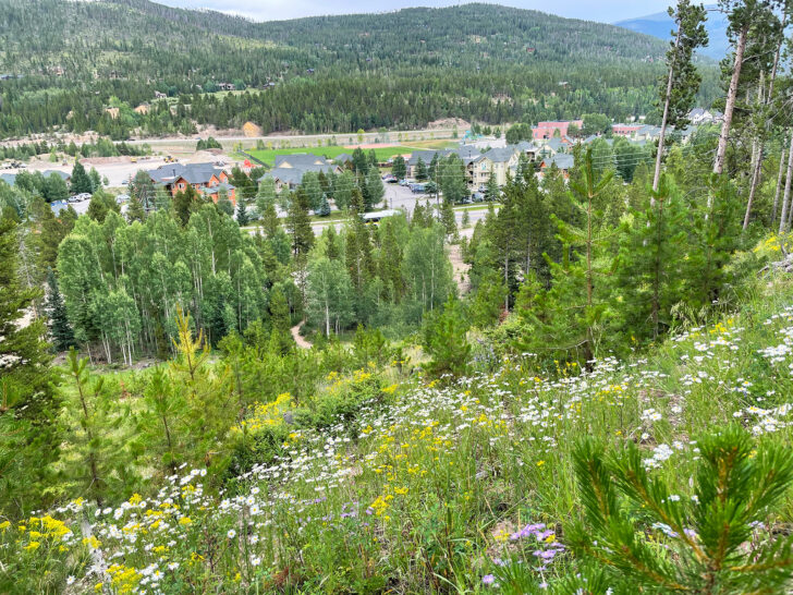 breckenridge hikes view of town below hill with wildflowers and mountains