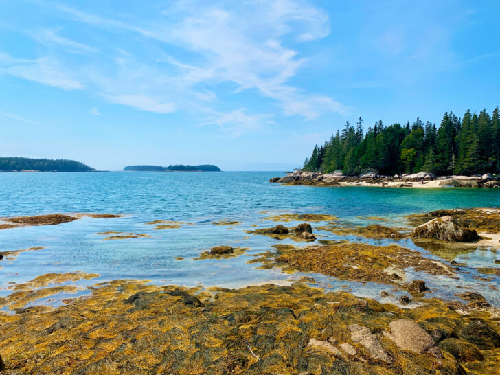 best august vacations for couples view of coast of Maine with marsh rocks and tree lined ocean
