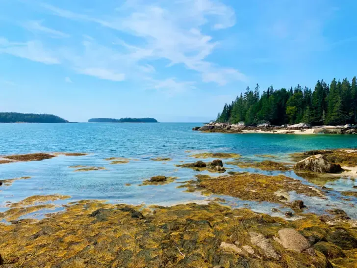 best august vacations for couples view of coast of Maine with marsh rocks and tree lined ocean