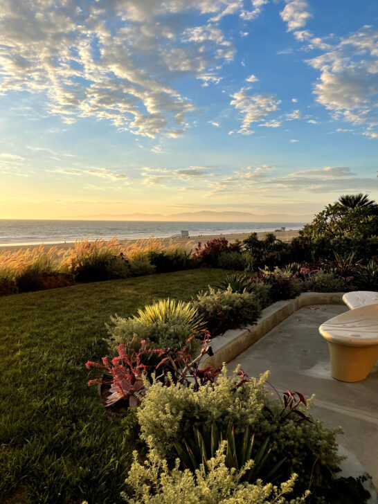 august vacation ideas view of flowers overlooking beach and ocean in distance in Southern California